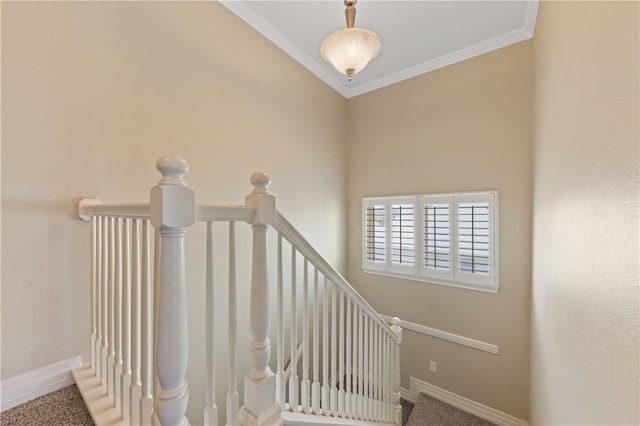 stairs featuring carpet floors and ornamental molding