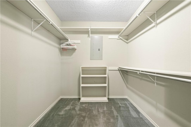 walk in closet with electric panel and carpet floors