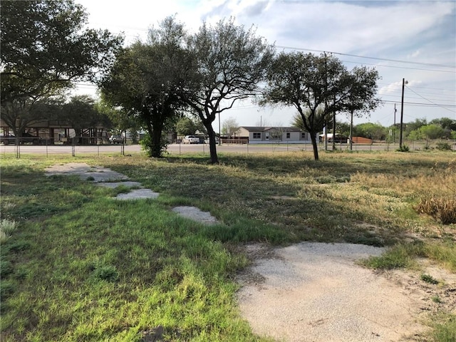 1408 S Norton Hwy, Freer, TX 78357 - view of yard featuring fence