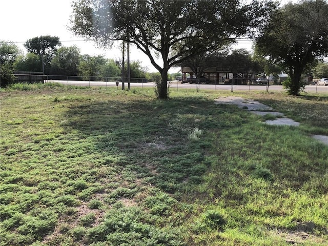 1408 S Norton Hwy, Freer, TX 78357 - view of yard with fence