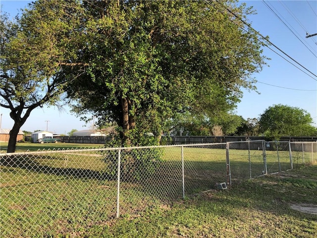 1408 S Norton Hwy, Freer, TX 78357 - view of yard