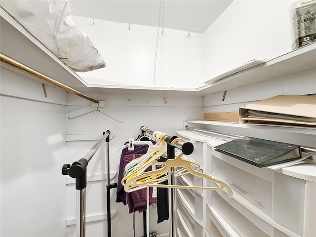 view of spacious closet