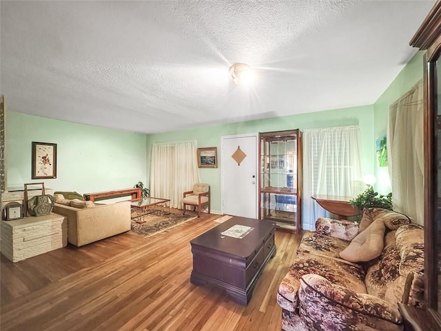 living room with wood-type flooring and a textured ceiling