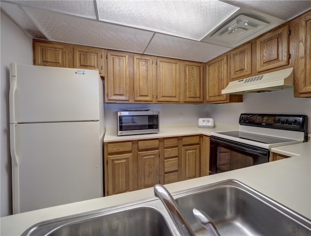 kitchen with range with electric stovetop and white fridge