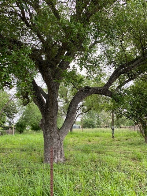 1817 Gunn St, Alice TX, 78332 land for sale