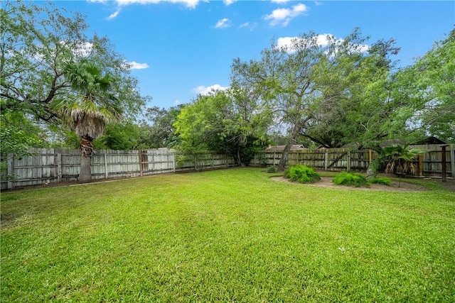 1139 W Lee Ave, Kingsville, TX 78363 - photo 30