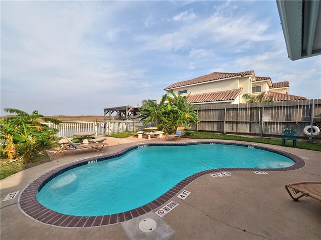 view of swimming pool with a patio