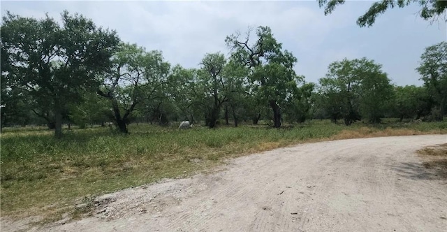 111 Deer Run, George West, TX 78022