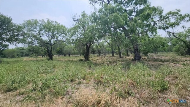 111 Deer Run, George West, TX 78022