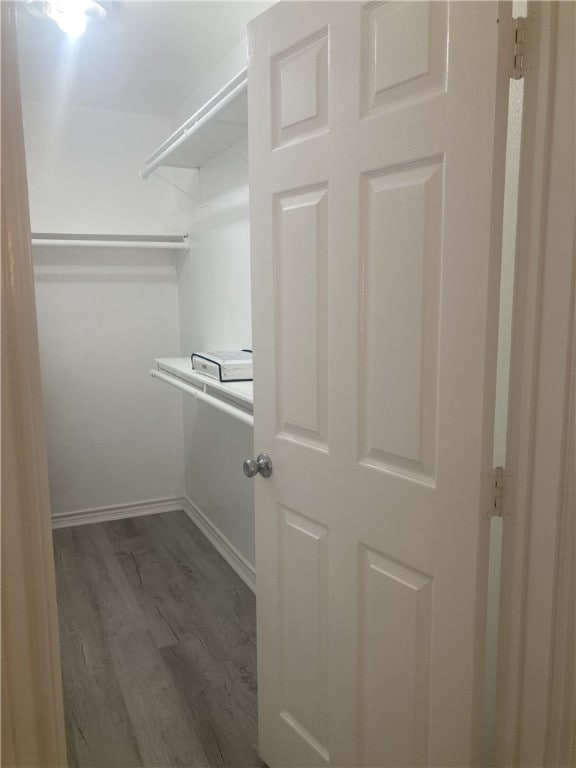 spacious closet featuring wood finished floors