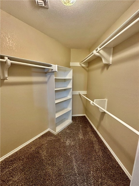 walk in closet with carpet flooring