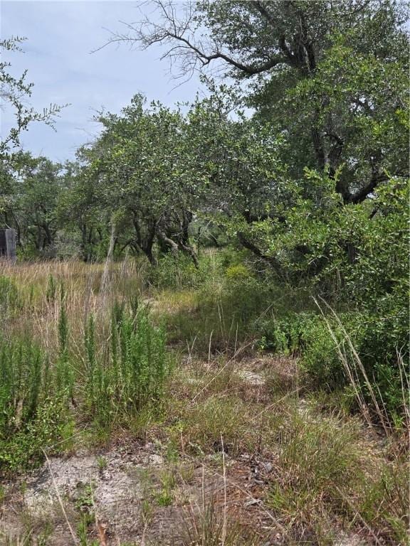 2761 State Highway 35th Byp, Rockport, TX 78382 - photo 8