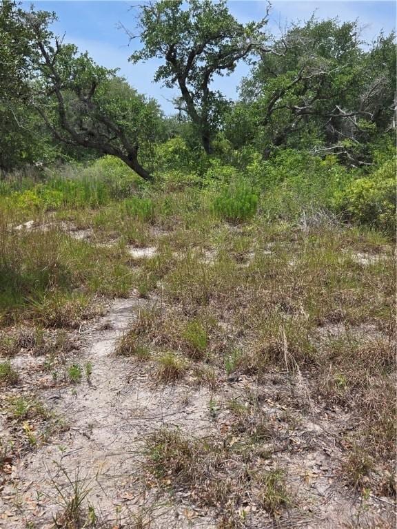 2761 State Highway 35th Byp, Rockport, TX 78382 - photo 7