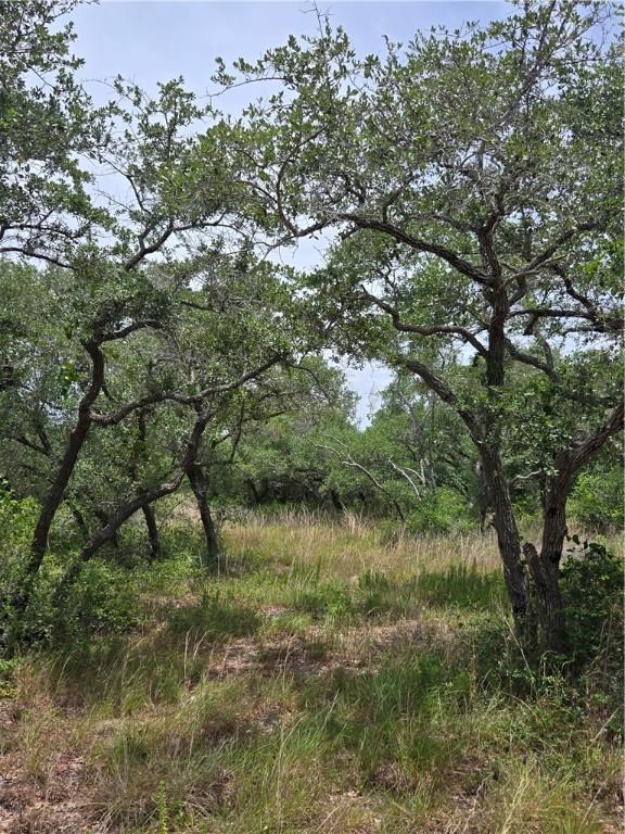 2761 State Highway 35th Byp, Rockport, TX 78382 - photo 6