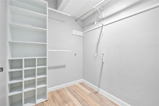 walk in closet featuring wood finished floors