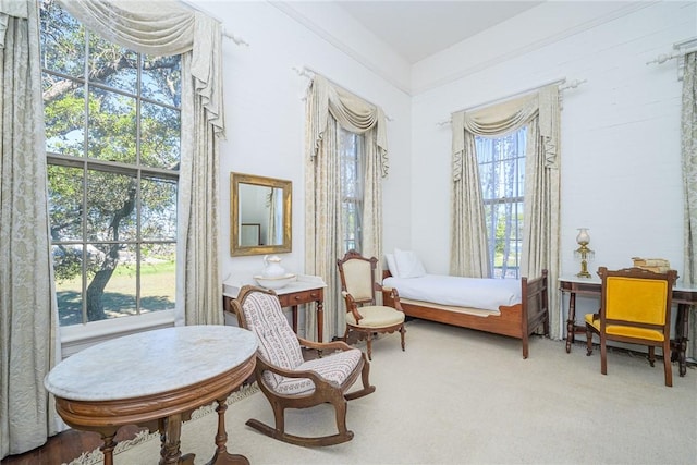 living area featuring carpet flooring and a healthy amount of sunlight