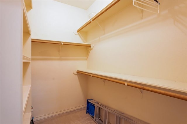 view of spacious closet