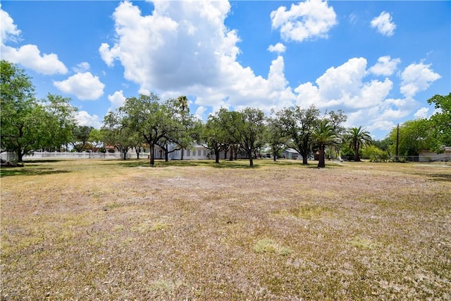 203 S Bowie St, Sinton, TX 78387 - view of yard