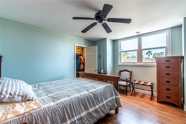 bedroom with ceiling fan, a closet, light wood-type flooring, and a walk in closet