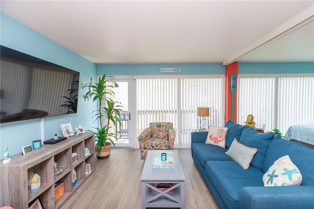 living room with light hardwood / wood-style flooring