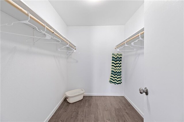 walk in closet with wood-type flooring