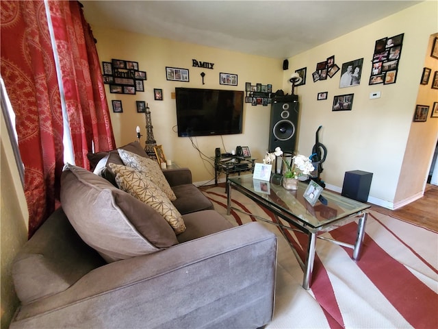 living room featuring hardwood / wood-style floors