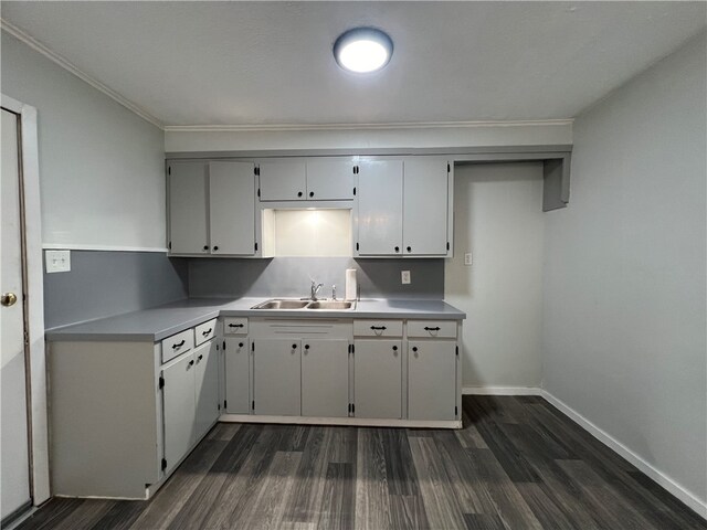 kitchen with dark hardwood / wood-style flooring and sink