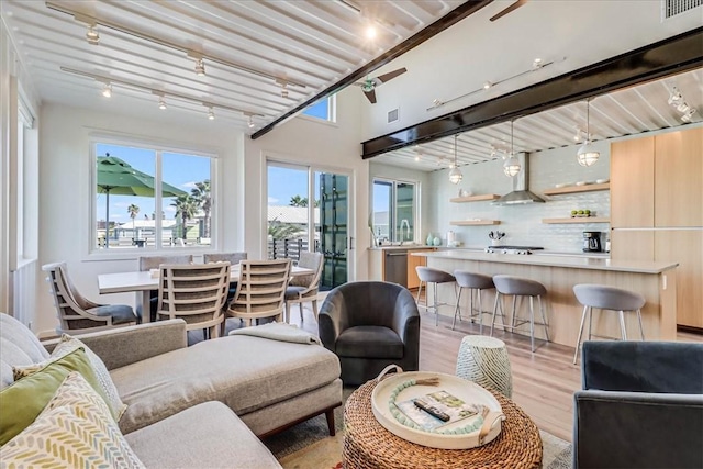 living room with rail lighting and light hardwood / wood-style floors