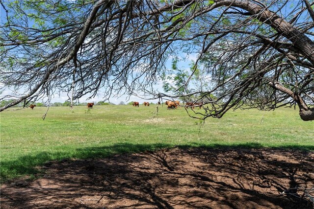 00 N County Road 1050, Kingsville, TX 78363 - photo 5
