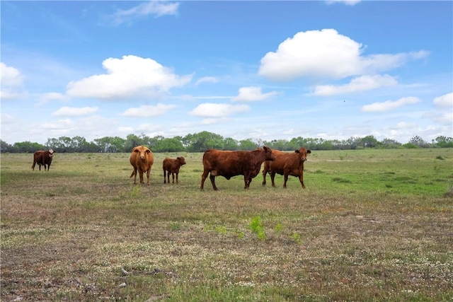 00 N County Road 1050, Kingsville, TX 78363 - photo 2