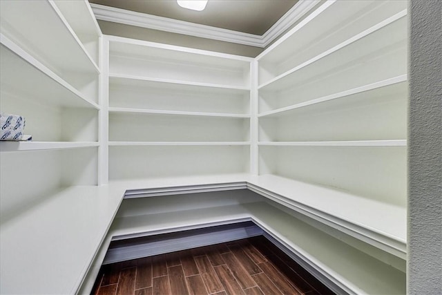 113 Bay Ct, Aransas Pass, TX 78336 - view of pantry