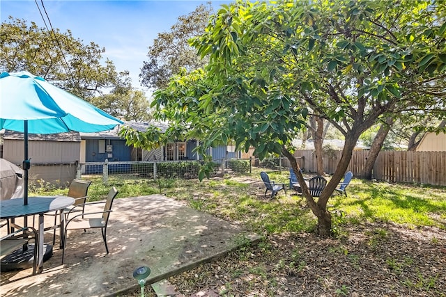 view of yard featuring a patio