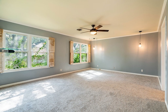 empty room featuring ceiling fan, crown molding, and carpet floors