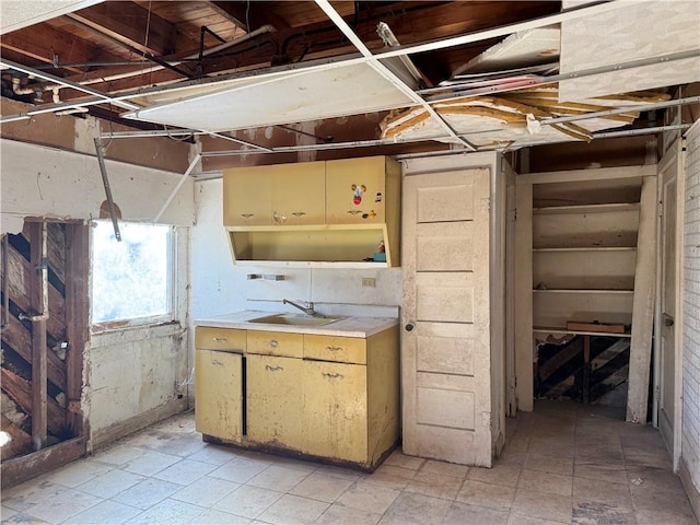 basement with sink