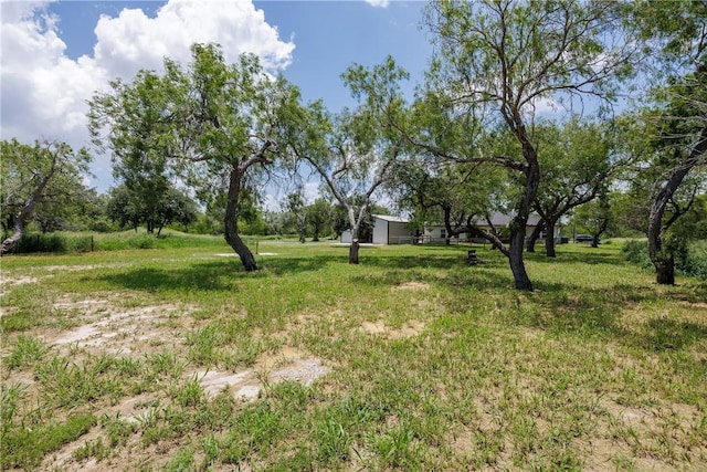 4222 County Road 2289, Odem, TX 78370 - photo 36