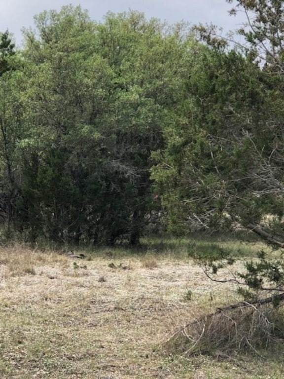 Listing photo 3 for 0 Whitetail Run, Uvalde TX 78801