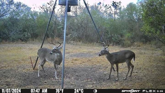 4204 County Road 308, Orange Grove, TX 78372