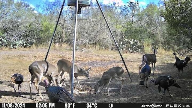 4204 County Road 308, Orange Grove, TX 78372