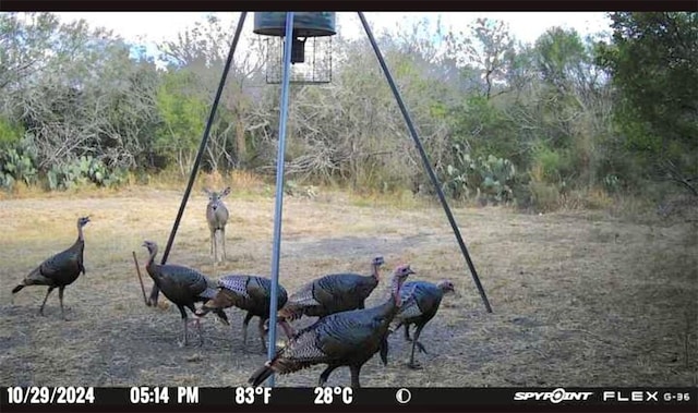 4204 County Road 308, Orange Grove, TX 78372