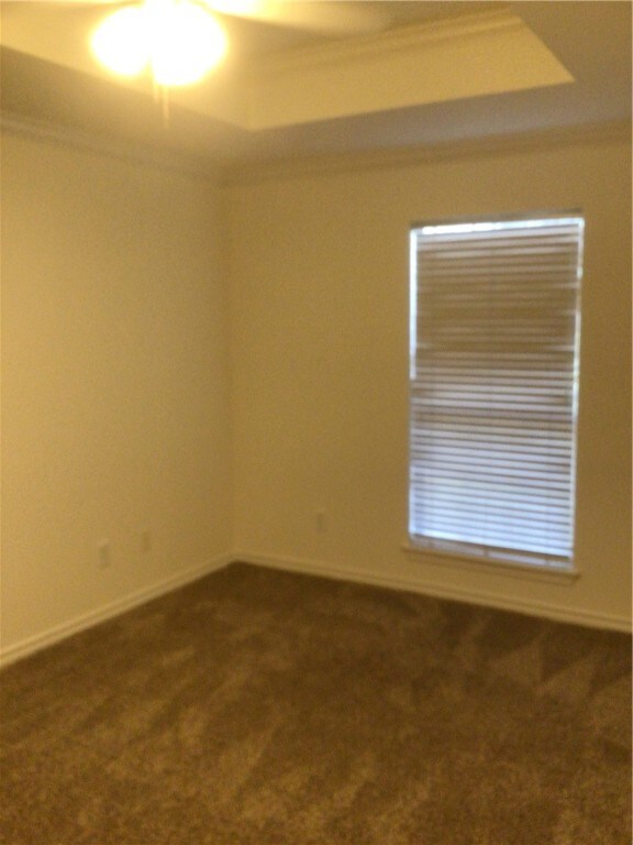 empty room featuring carpet floors, crown molding, and a tray ceiling