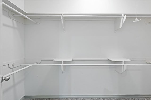 3406 Angelina St, Corpus Christi, TX 78414 - view of walk in closet