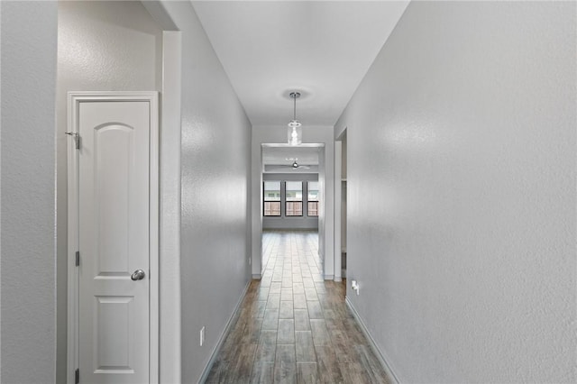 3406 Angelina St, Corpus Christi, TX 78414 - hallway featuring dark wood-style flooring and a textured wall
