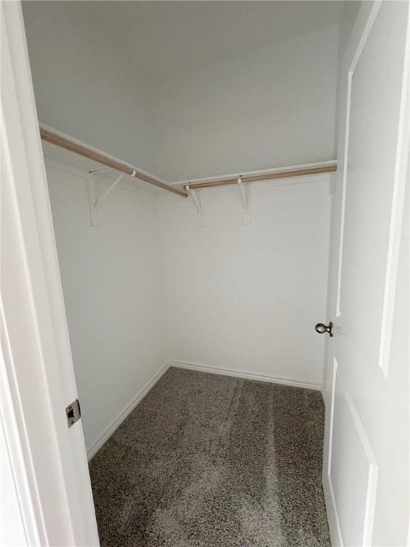 walk in closet with carpet floors