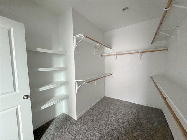 walk in closet with dark colored carpet