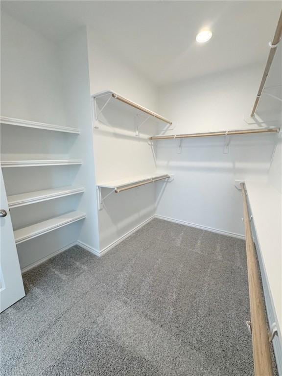 2550 Las Estrellas St, Corpus Christi, TX 78414 - spacious closet with carpet