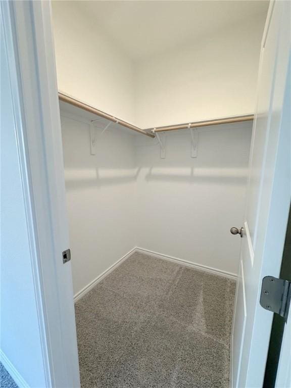 2550 Las Estrellas St, Corpus Christi, TX 78414 - walk in closet featuring carpet floors