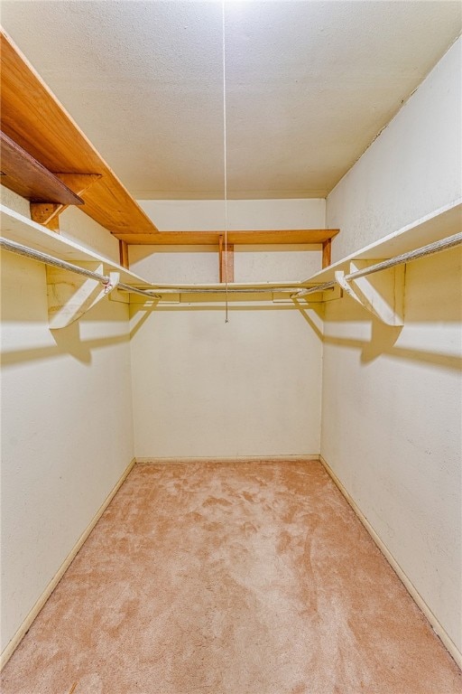 4513 Greensboro Dr, Corpus Christi, TX 78413 - walk in closet with light carpet