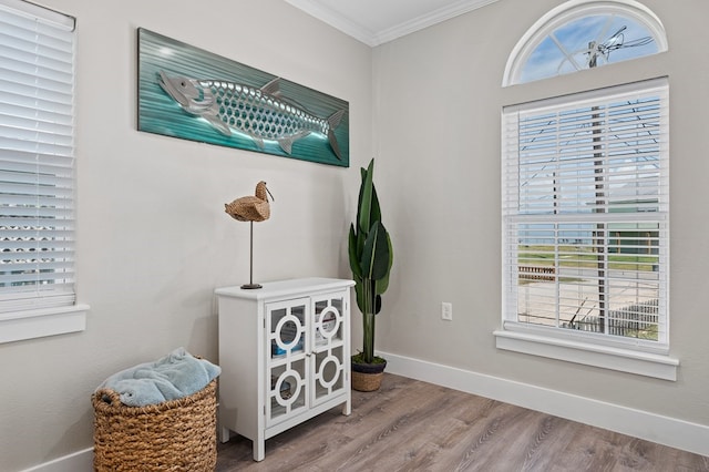 interior space with hardwood / wood-style floors, a healthy amount of sunlight, and ornamental molding