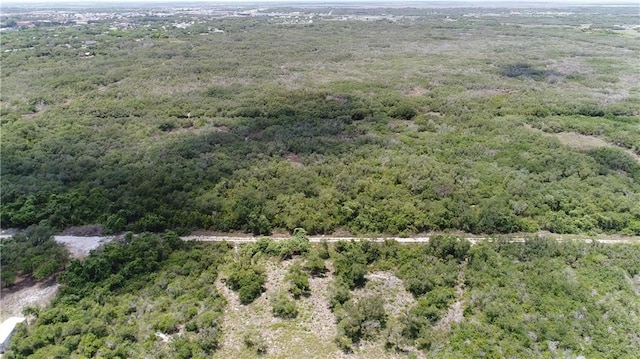 0 N Whitney St N, Aransas Pass, TX 78336 - photo 9