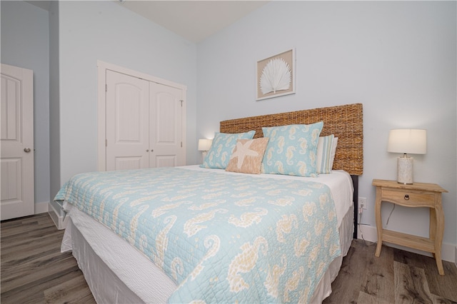 bedroom featuring a closet and wood-type flooring